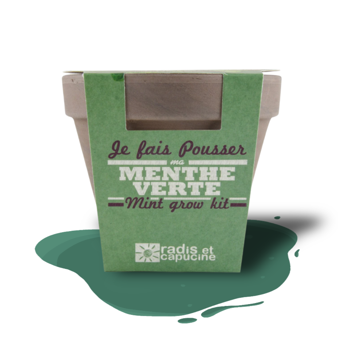 Mint grow kit with seeds, soil, and pot – easy indoor herb gardening for beginners.