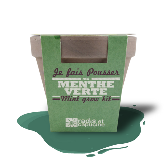 Mint grow kit with seeds, soil, and pot – easy indoor herb gardening for beginners.