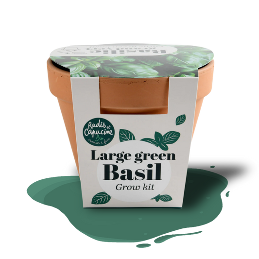 Organic basil grow kit with seeds, soil, and pot – easy indoor herb gardening for beginners.